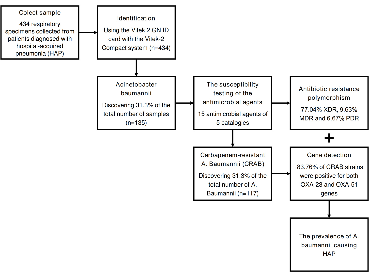 Epidemiology and antibiotic resistance assessment of Acinetobacter ...