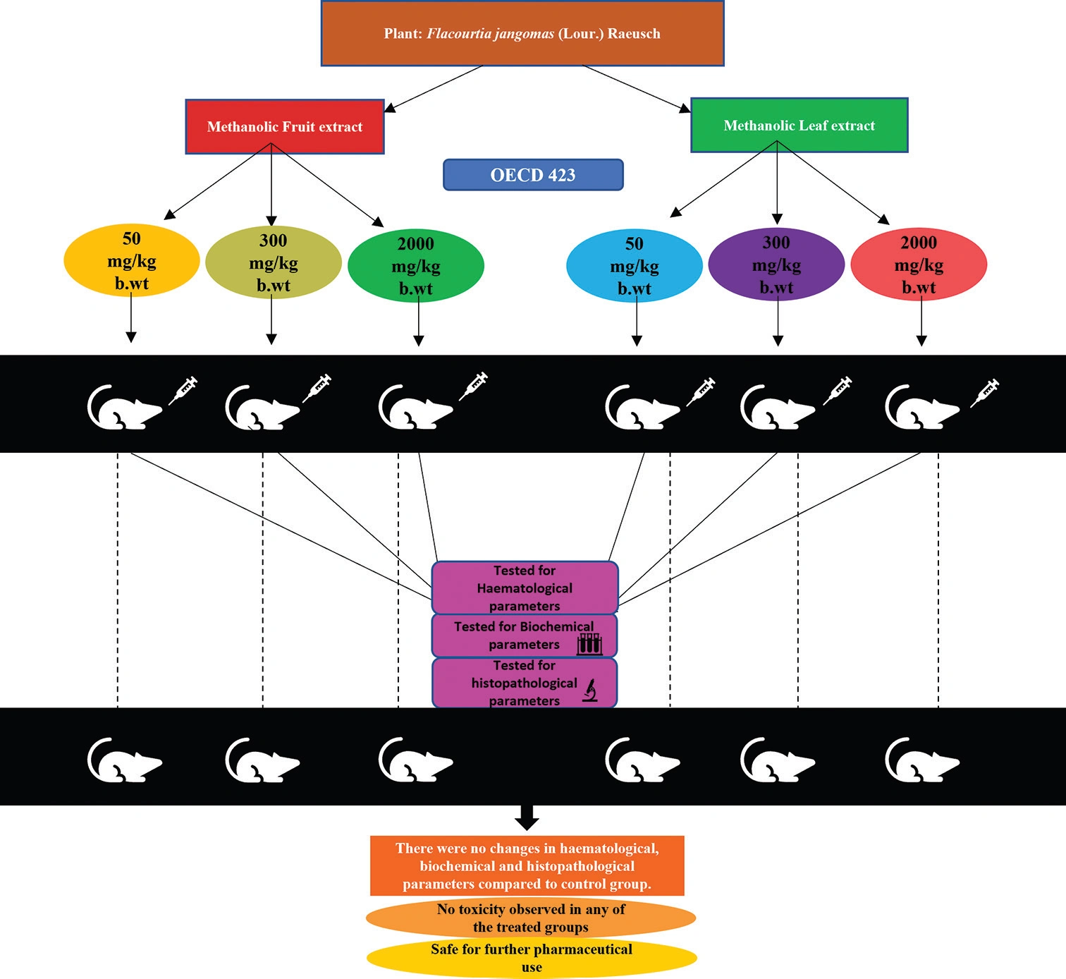 Graphical Abstract