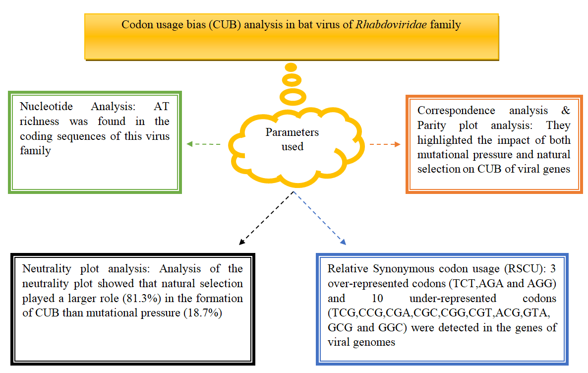 Unravelling codon usage patterns in the coding sequences of Bat RNA ...