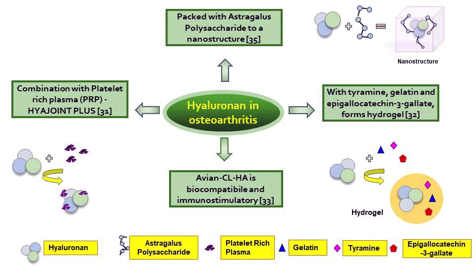 Hyaluronan – A multipotent biomolecule in the field of medicine