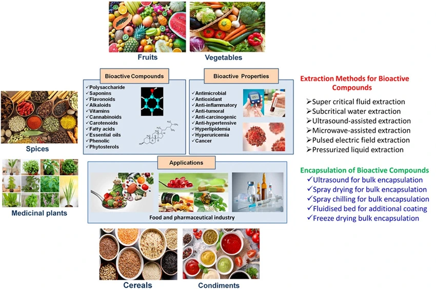 Graphical Abstract