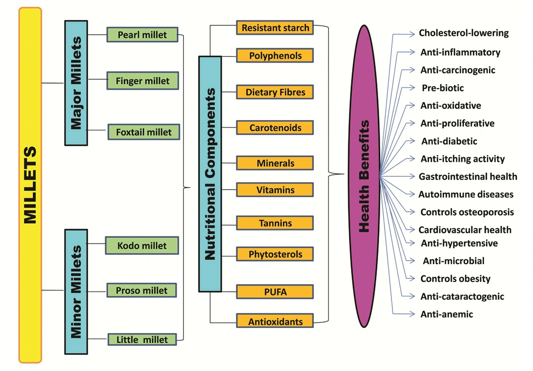 Graphical Abstract