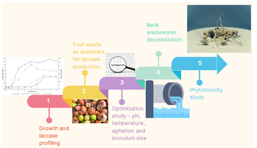 Graphical Abstract