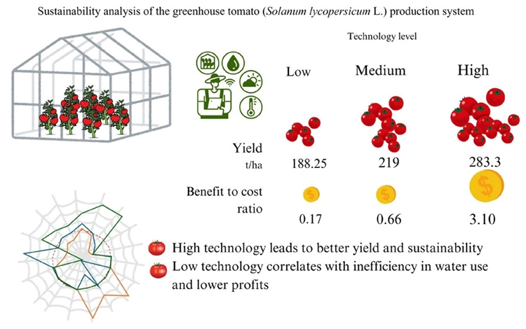 Graphical Abstract