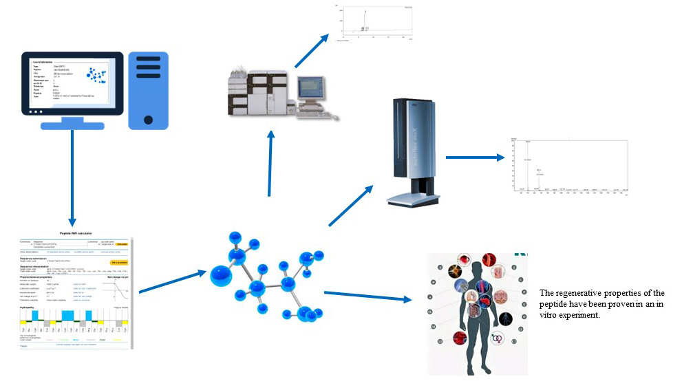 Graphical Abstract