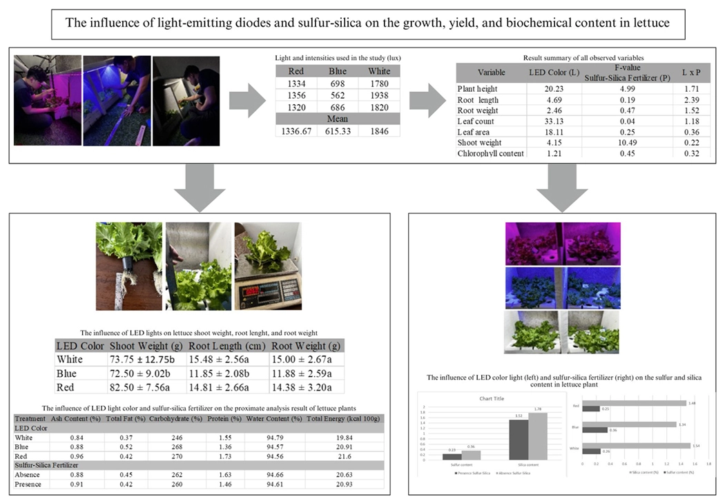 Graphical Abstract