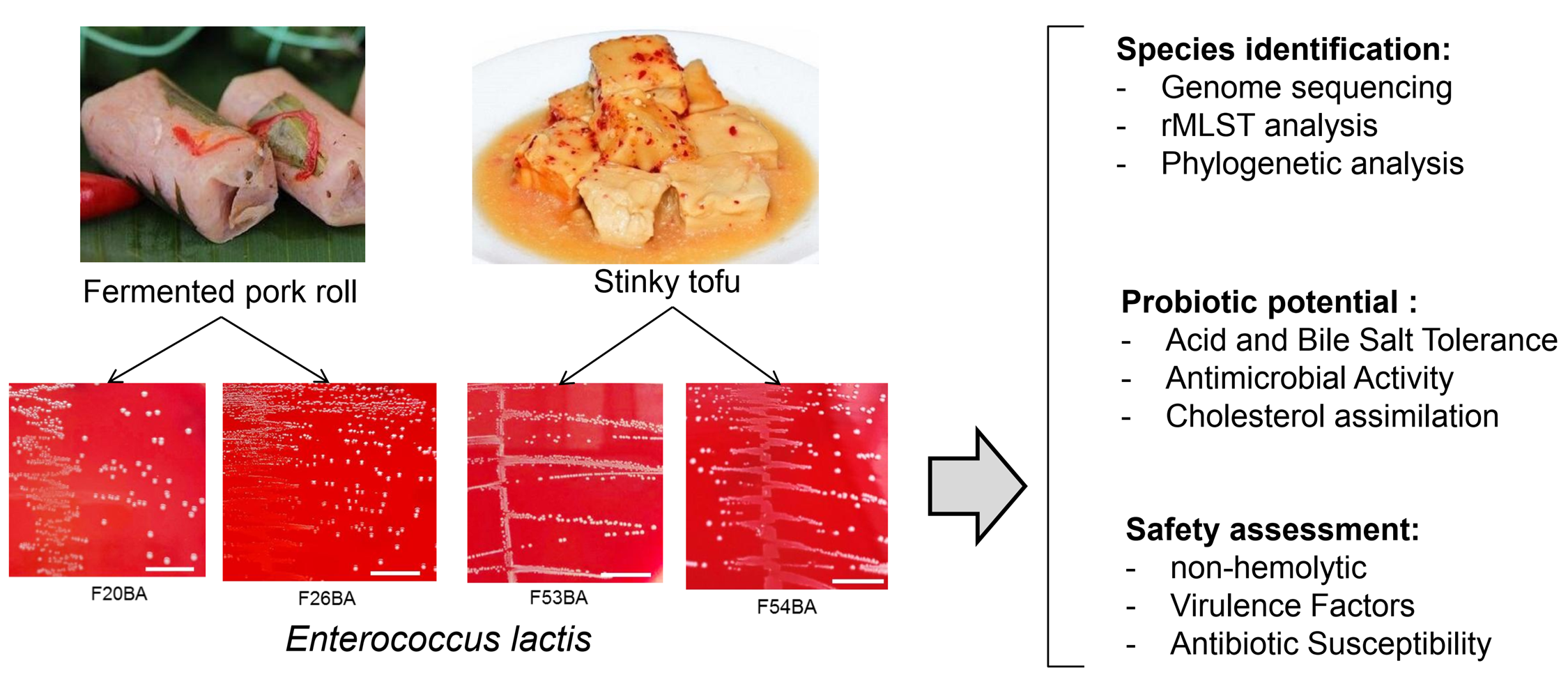 Graphical Abstract