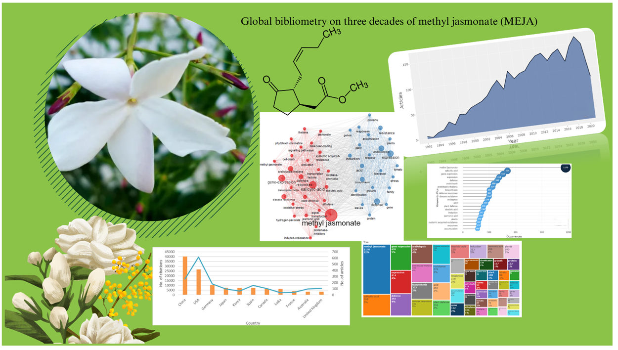 Graphical Abstract