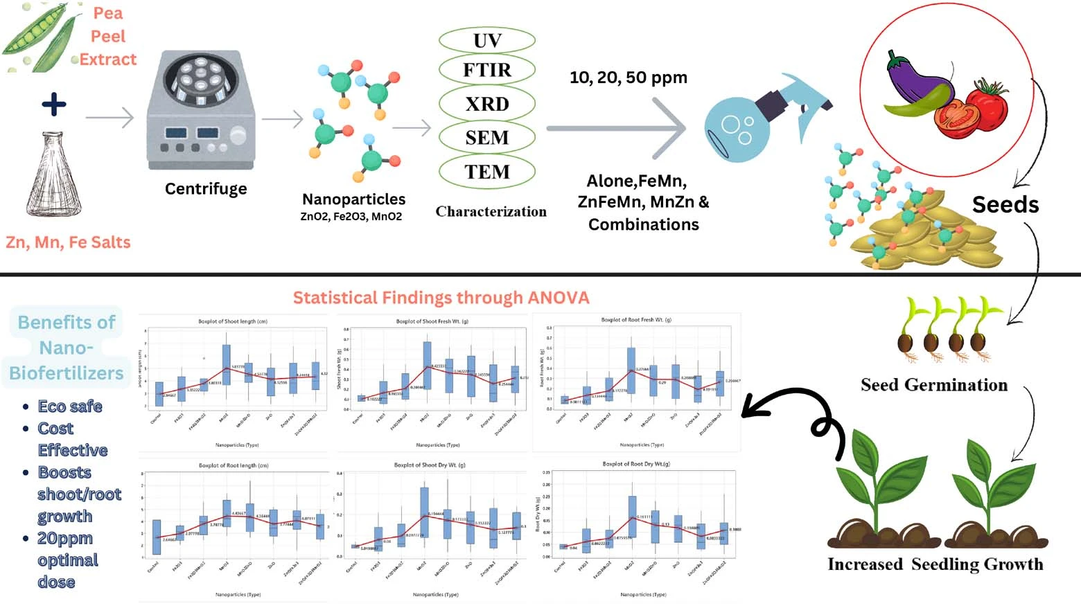 Graphical Abstract