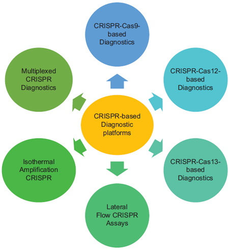 Graphical Abstract