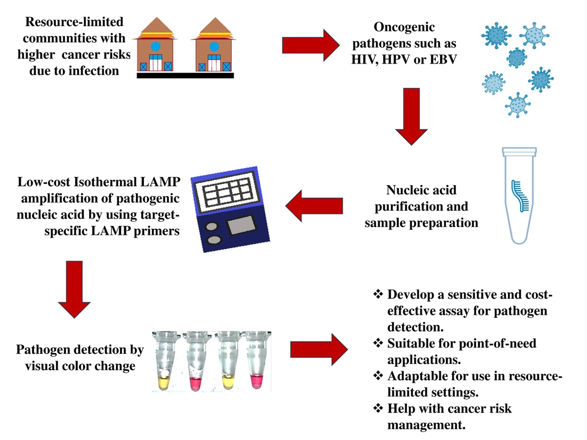 Graphical Abstract