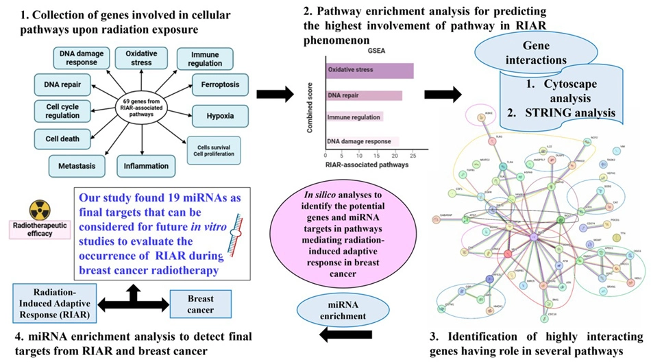 Graphical Abstract