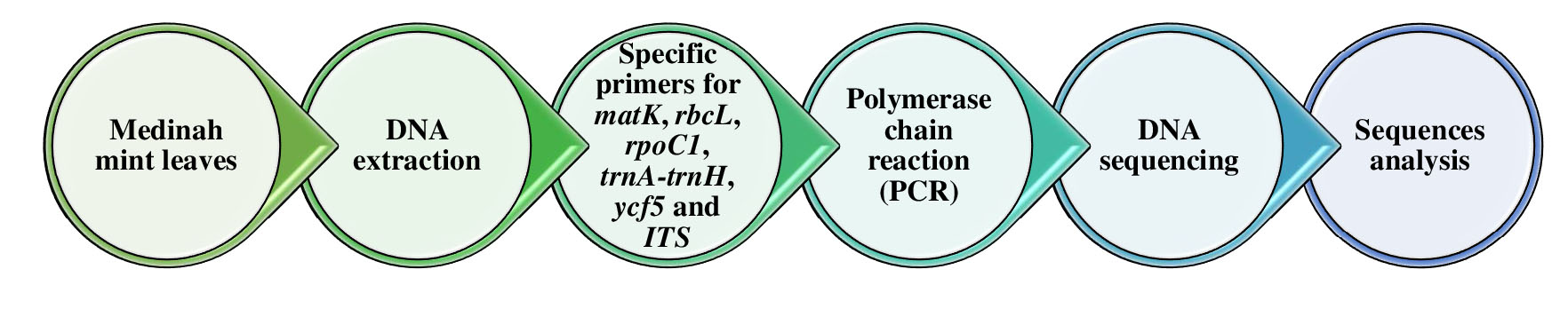 Graphical Abstract