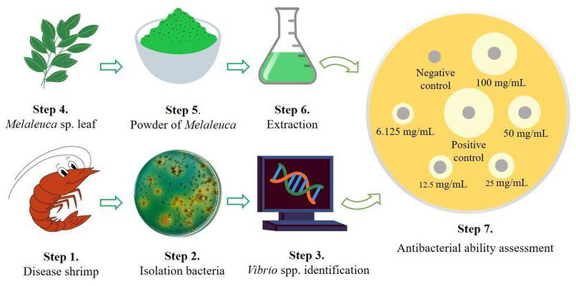 Graphical Abstract