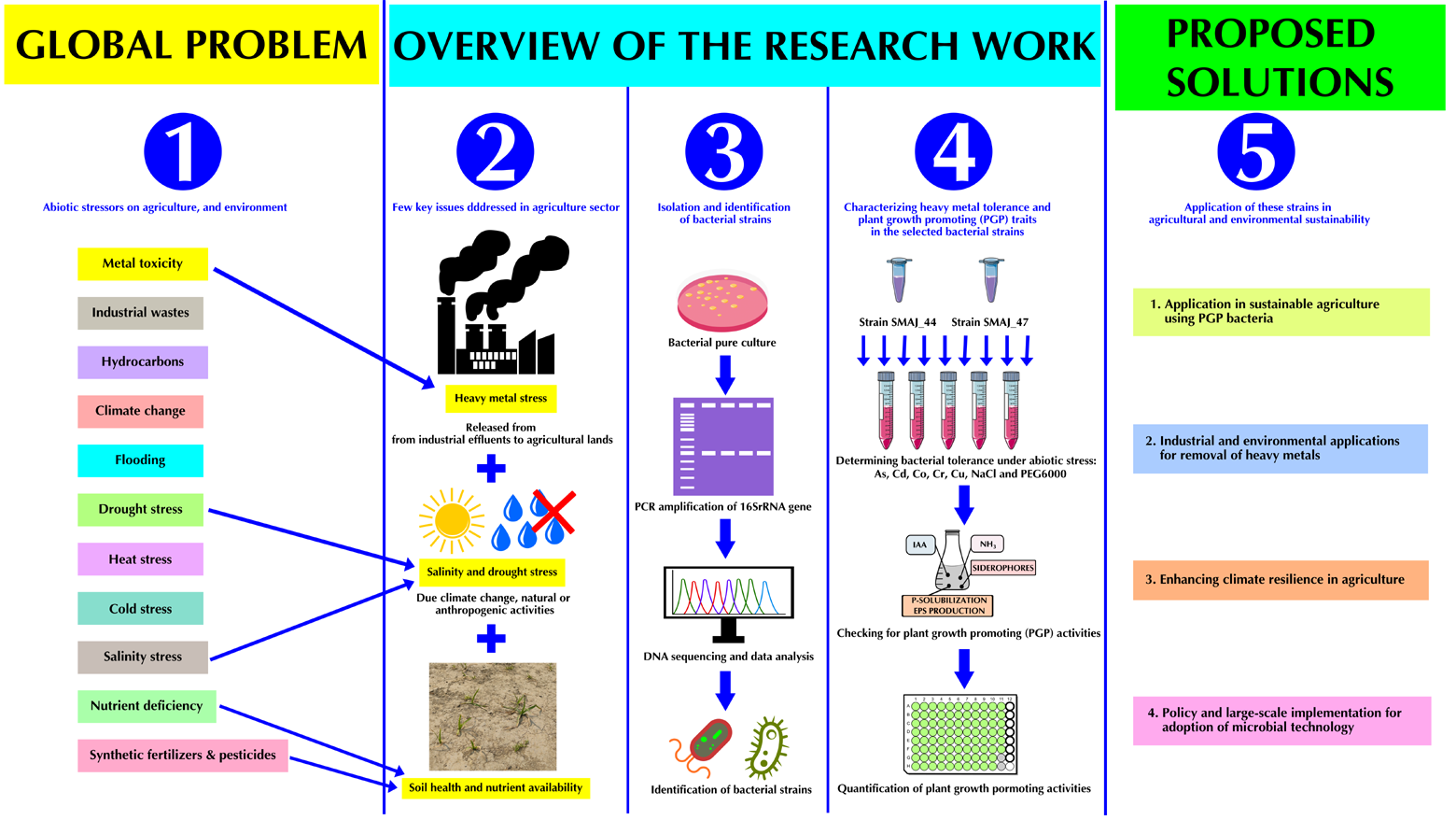 Graphical Abstract