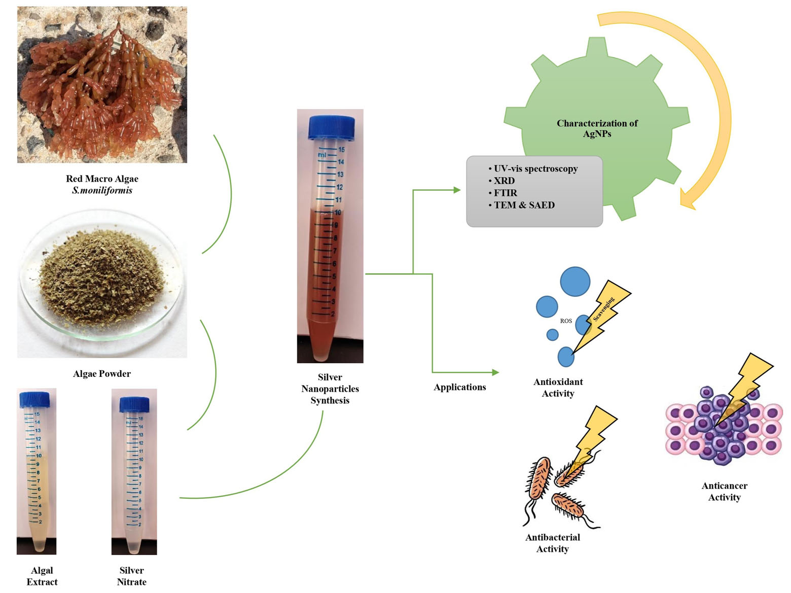 Graphical Abstract