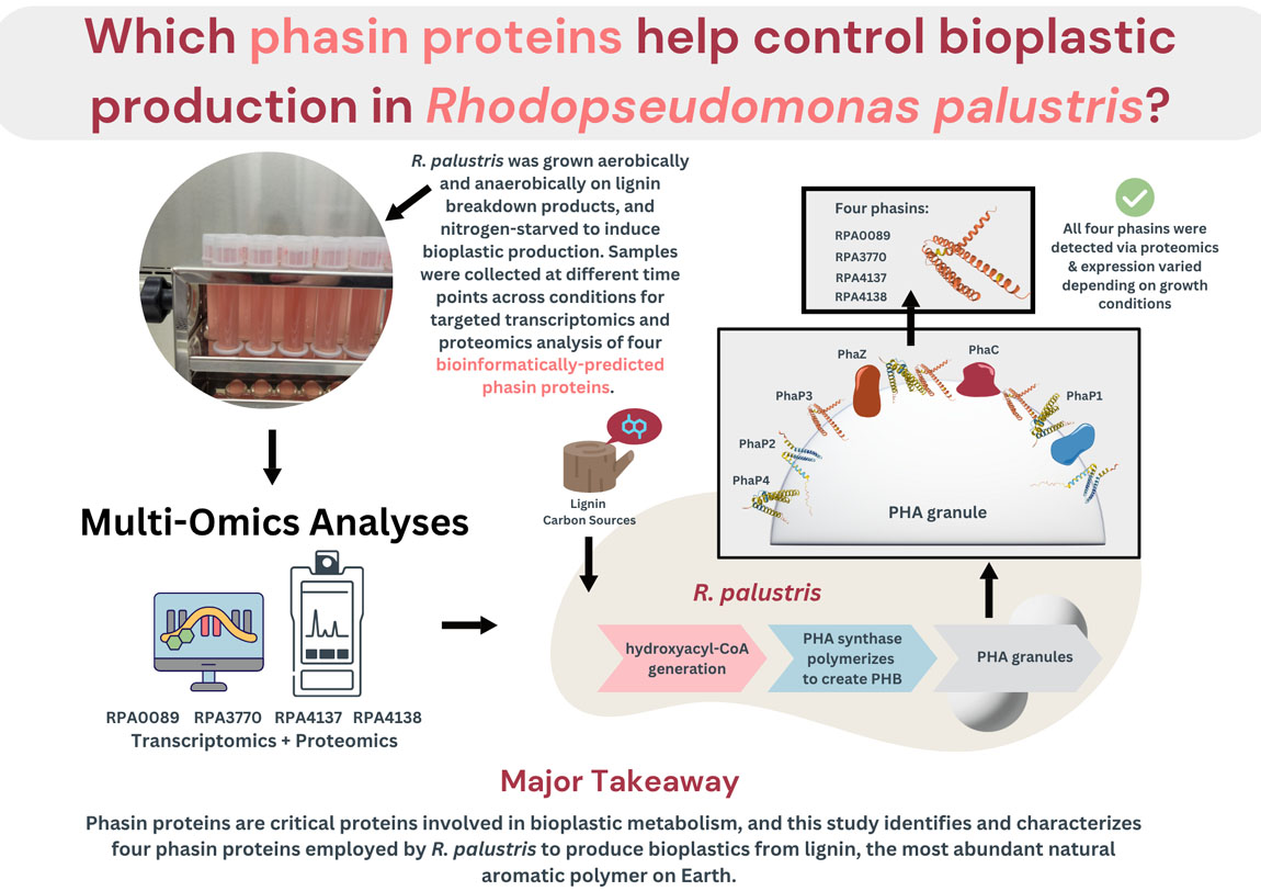 Graphical Abstract
