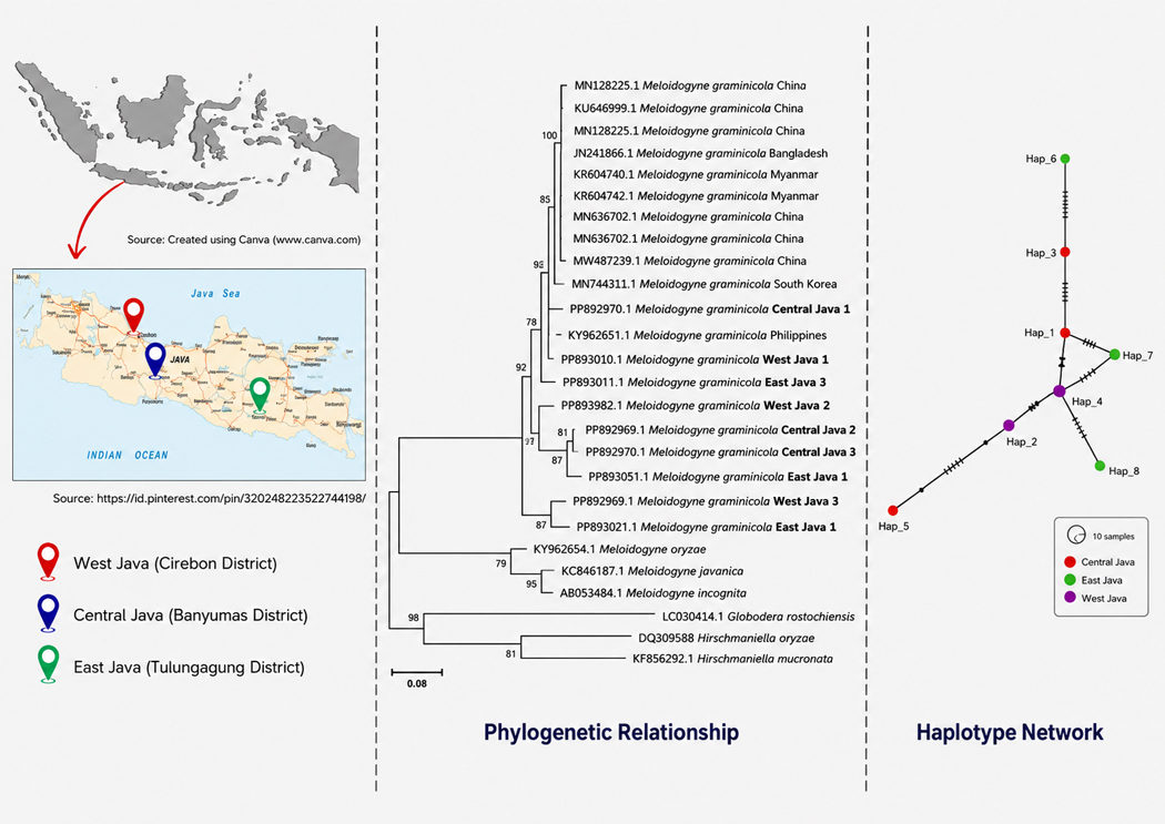 Graphical Abstract