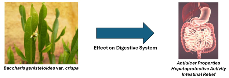 Graphical Abstract