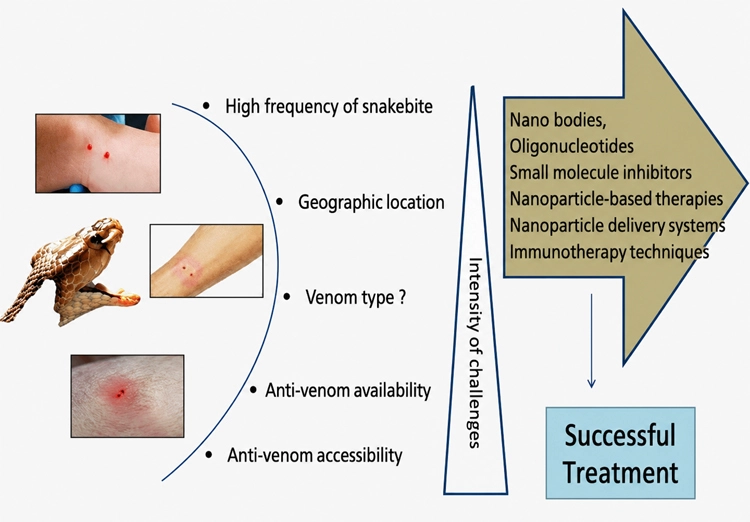Graphical Abstract