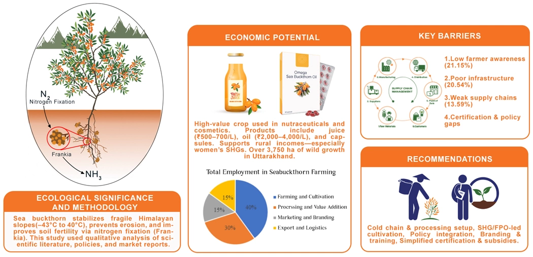 Graphical Abstract