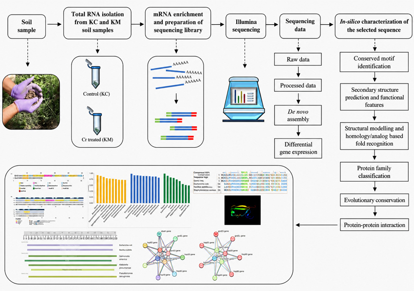 Graphical Abstract