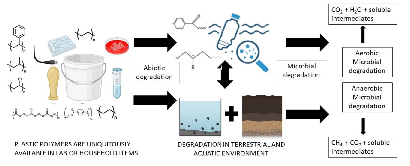 Graphical Abstract