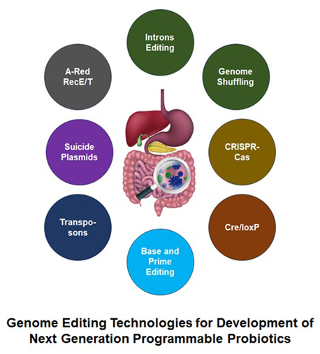 Graphical Abstract