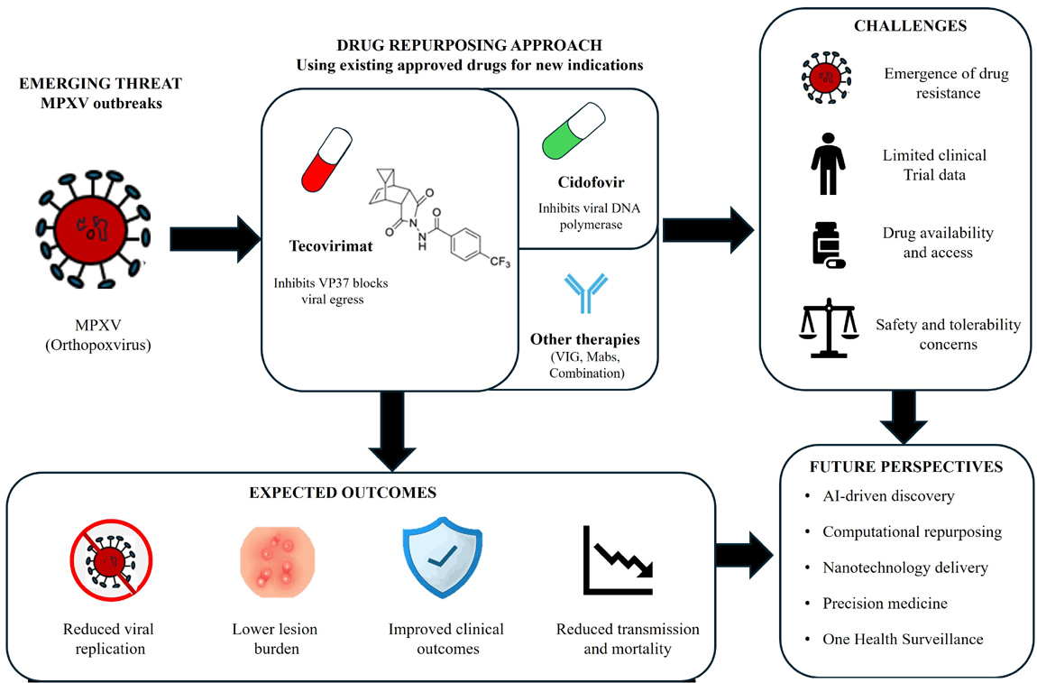 Graphical Abstract