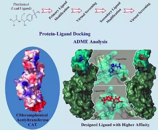 Graphical Abstract