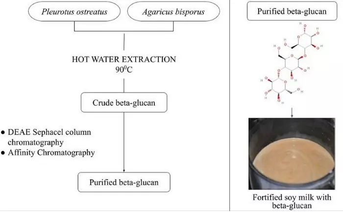 PDF) Functionalization of yogurts with Agaricus bisporus extracts