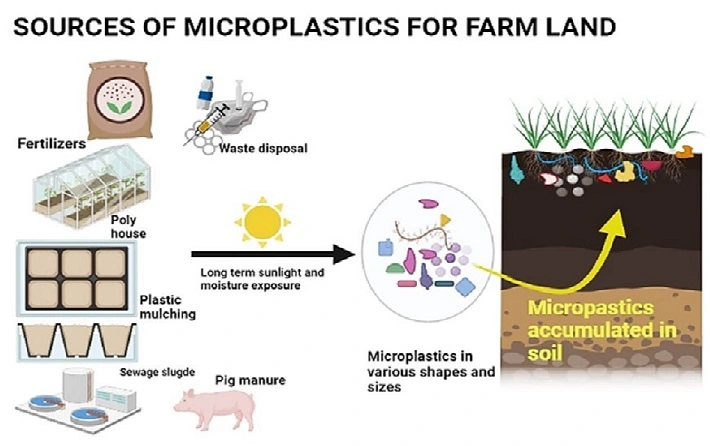 An Overlooked Entry Pathway of Microplastics into Agricultural