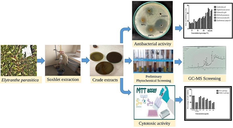 Journal of Applied Biology and Biotechnology