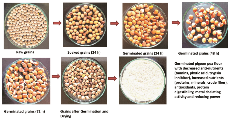 Influence Of Soaking And Germination Treatments On The Nutritional 