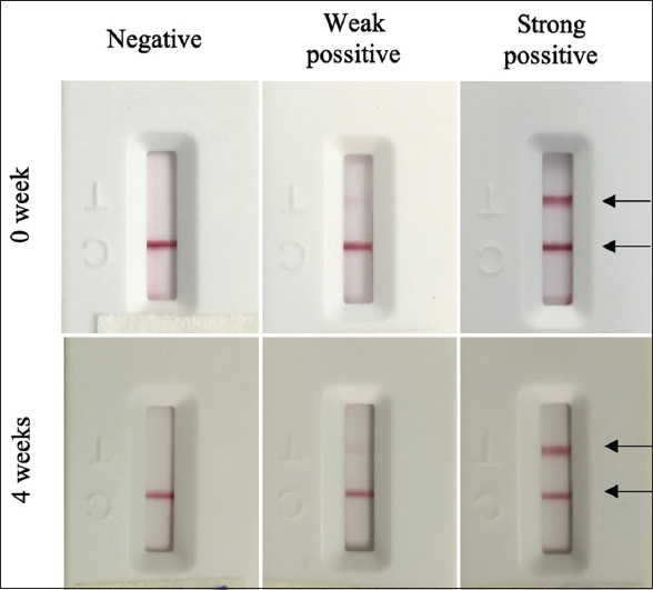 HEV IgG/IgM Rapid Test Cassette, IHE-302