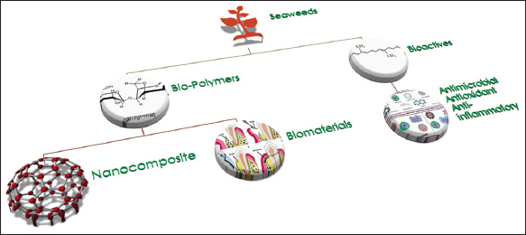 a) Images of seaweed species for carrageenan biopolymer extraction